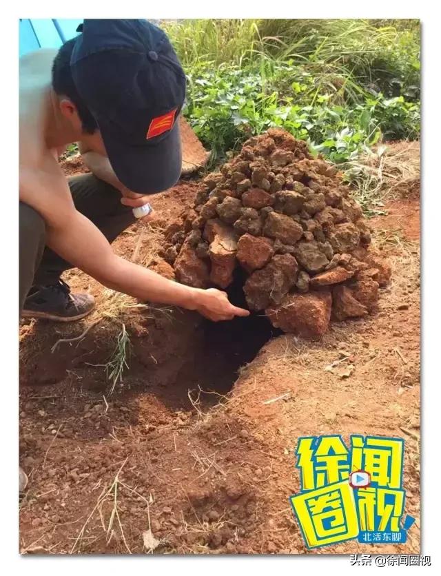 致我们回不去的童年电视剧,致我们回不去的童年完整版