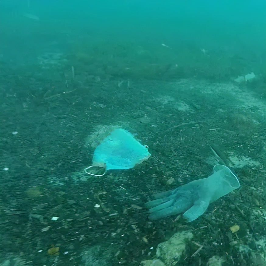 过来人|他用热爱海洋、守护地球的心打动招生官