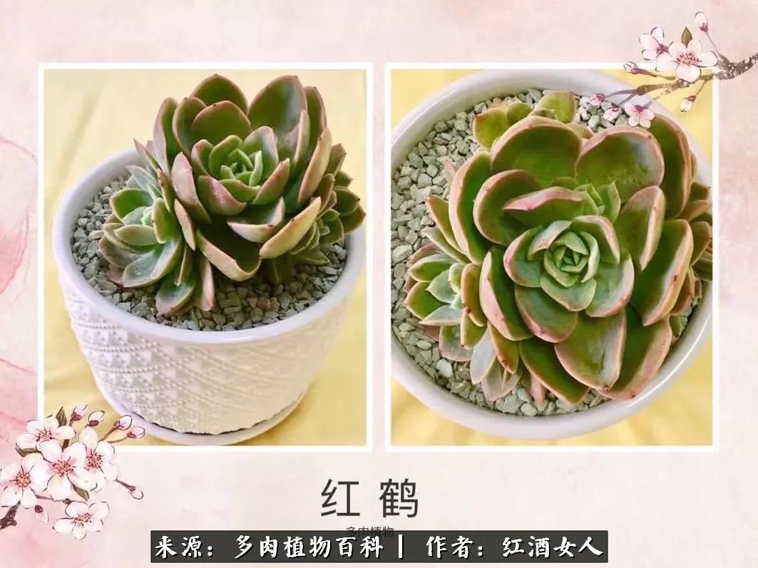 记录走过的美景留下美好的回忆,记录走过的每一段美好时光