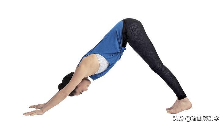 防止胸部下垂的锻炼瑜伽动作,瑜伽胸部松弛下垂的最佳动作