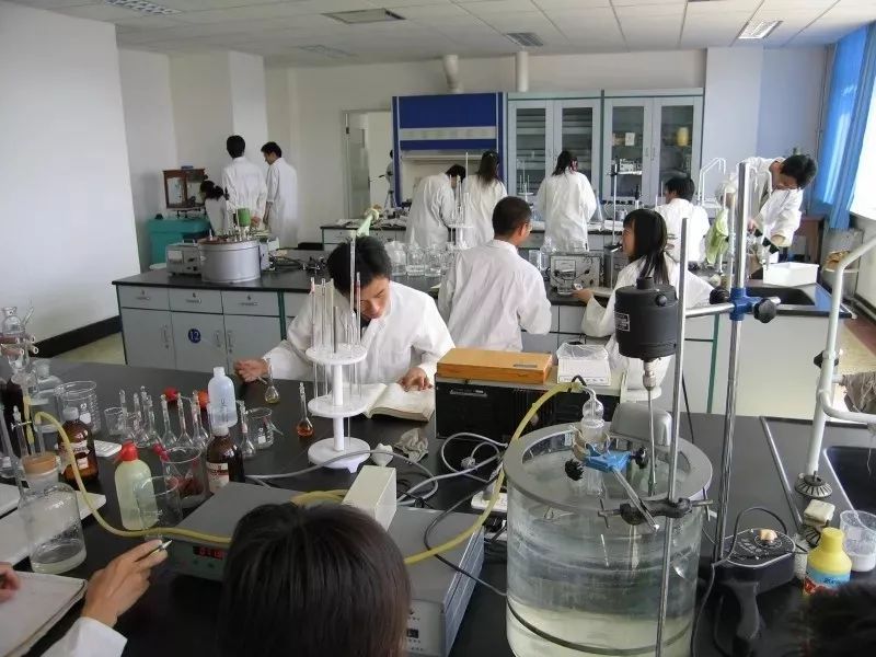 湖南530分理科能报得最好的专业,高考文科530可以上的大学专业排名