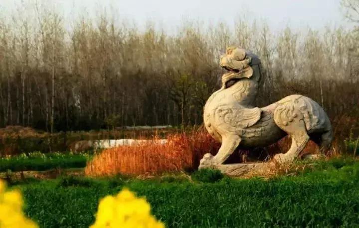 中国丹阳眼镜城在哪,丹阳市眼镜批发市场