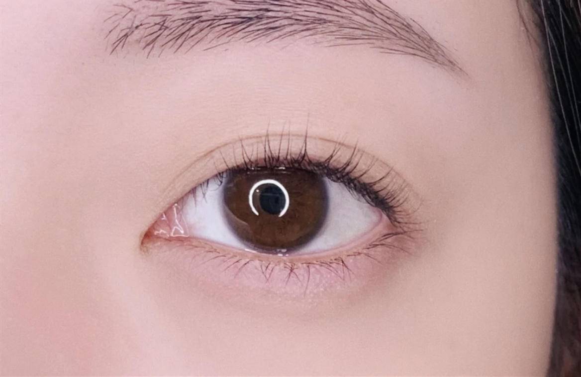 单根睫毛又好看又持久的方法,睫毛比较多怎么刷睫毛根根分明