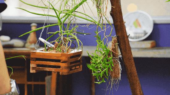 他在市中心建了一座房，38㎡住一家五口，居然没屋顶？