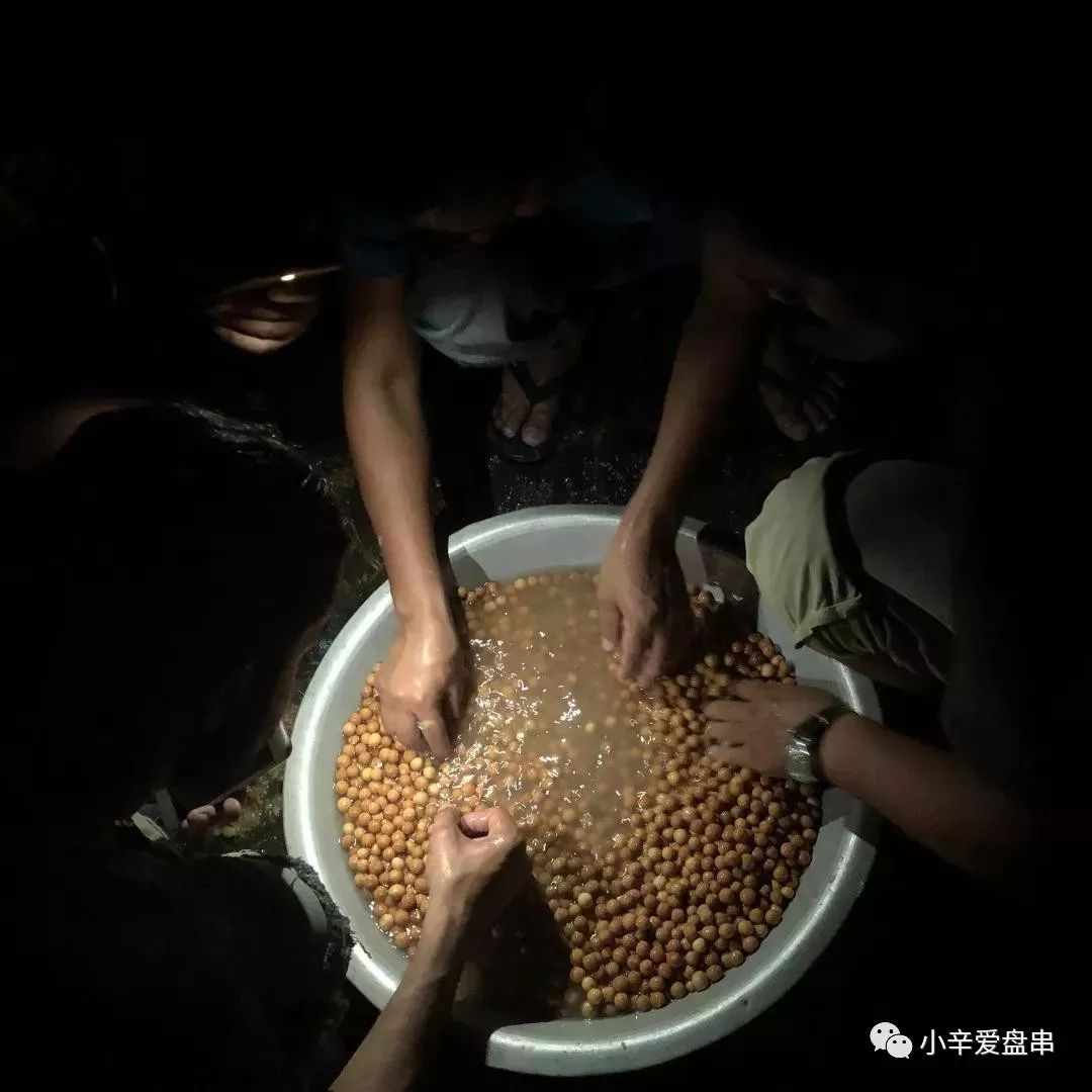 凤眼菩提五星上将怎么挑选,如何挑选凤眼菩提手串