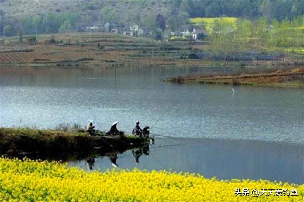 鱼线的演变,鱼线历史
