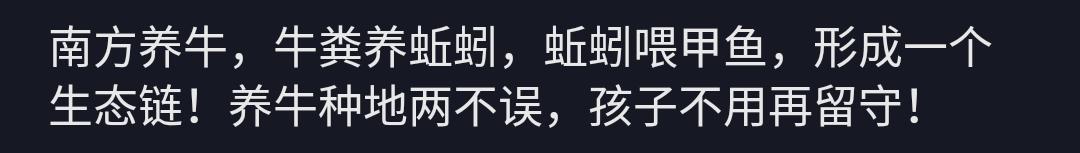 女大学生回家创业养上千头猪,北漂奶奶返乡创业高原养蚯蚓致富