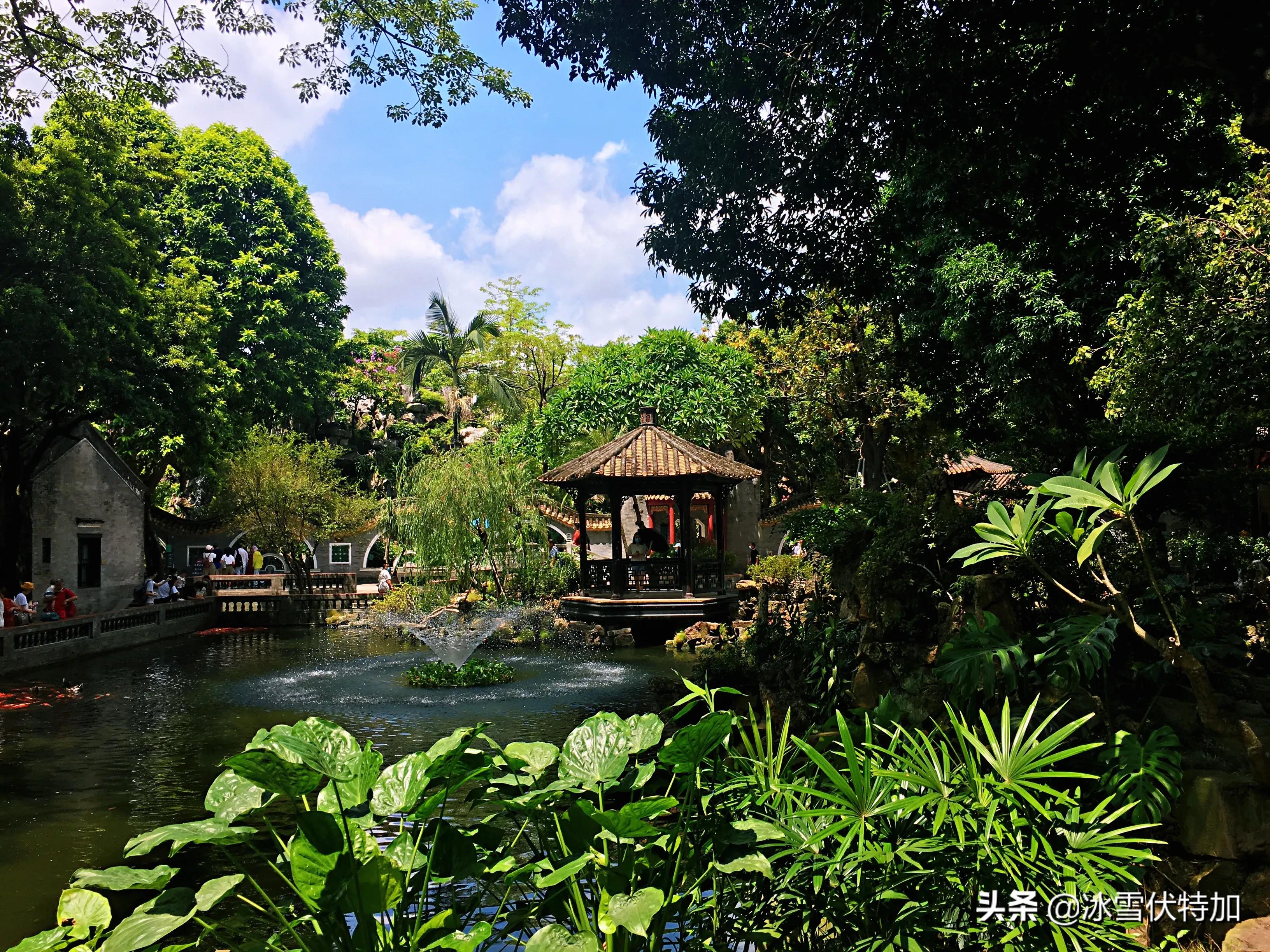 广州顺德美食一日游攻略,广东佛山一日游攻略