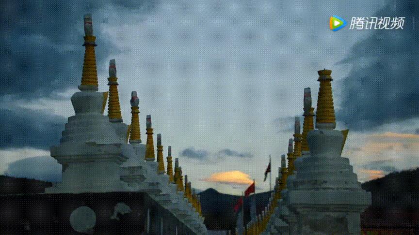 带你Get《司藤》同款神仙美景,春天的香格里拉这样玩