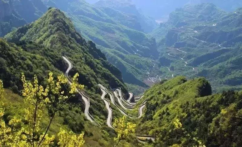 来迟了作品,来迟了歌曲完整版