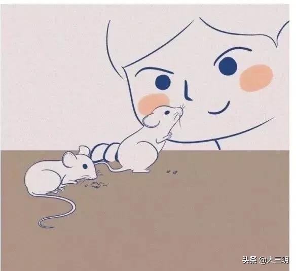 抗疫幼儿园小故事,抗疫先锋钟南山故事