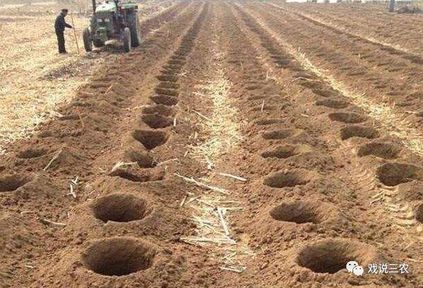 农村为什么越来越少种粮食,为什么农民现在不种粮食