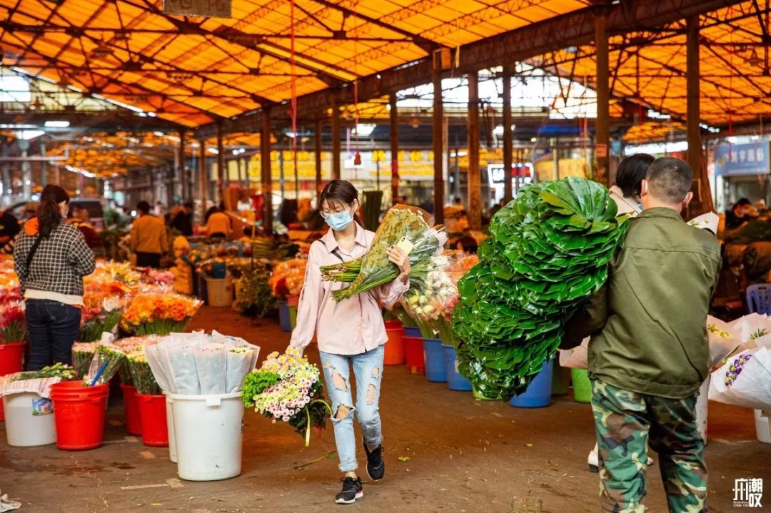深夜去广州的花卉市场买花,如何逛斗南花卉市场买花便宜