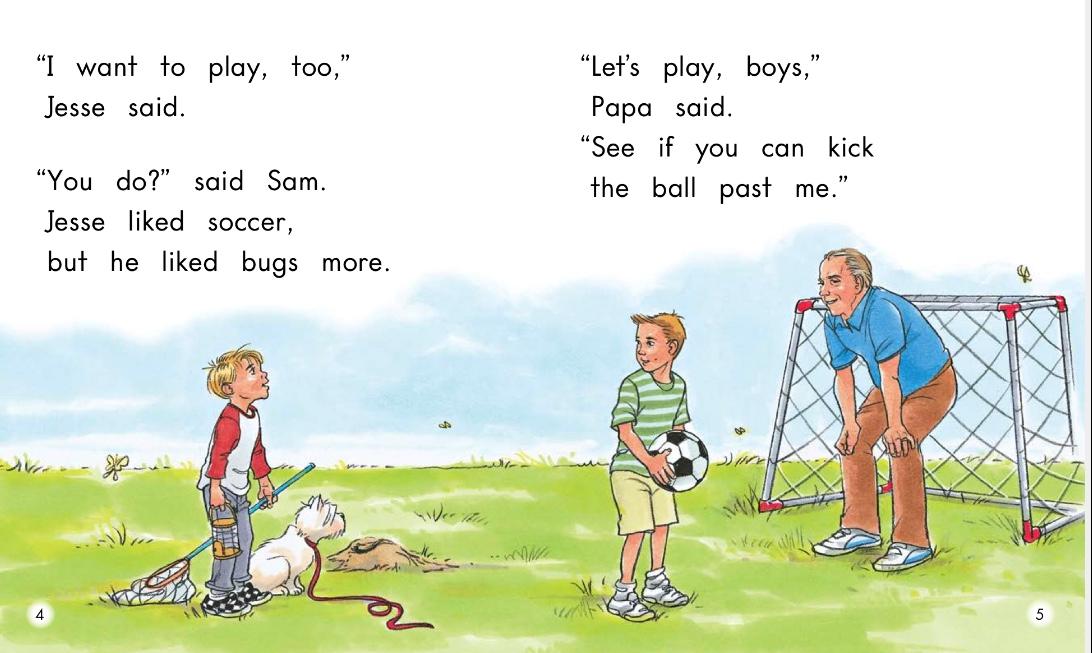 英语绘本theroundball,足球赛的英语绘本