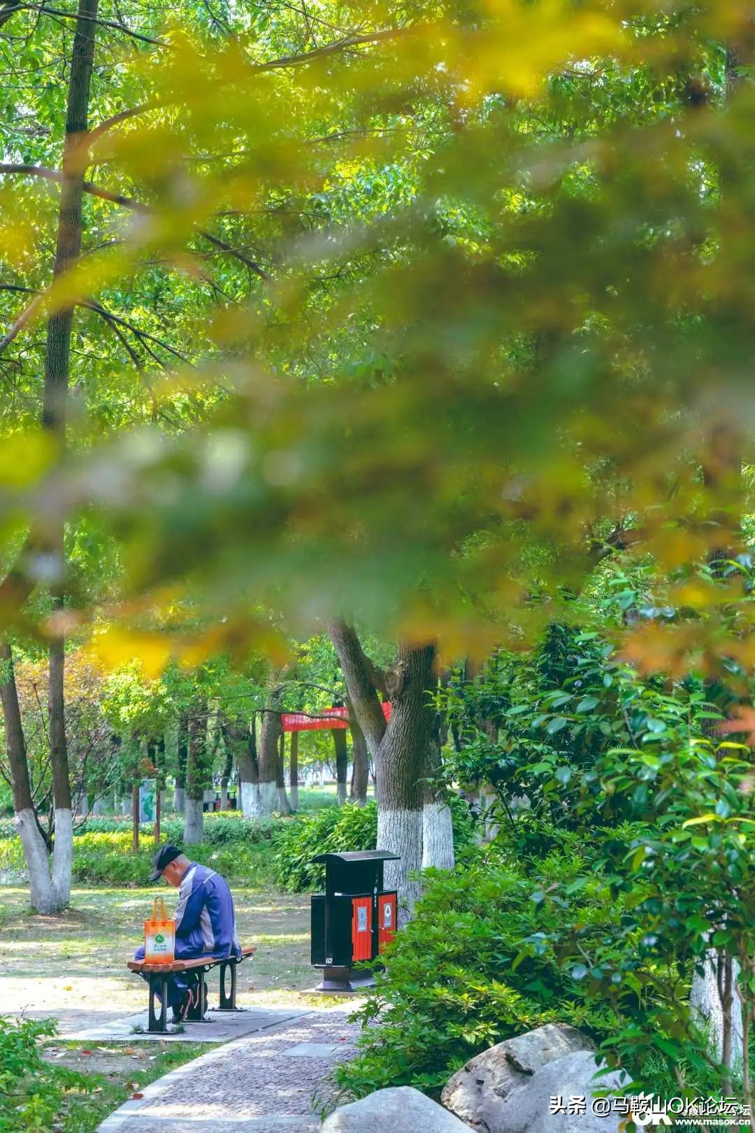 唰，就绿了！马鞍山夏天的n+1种样子