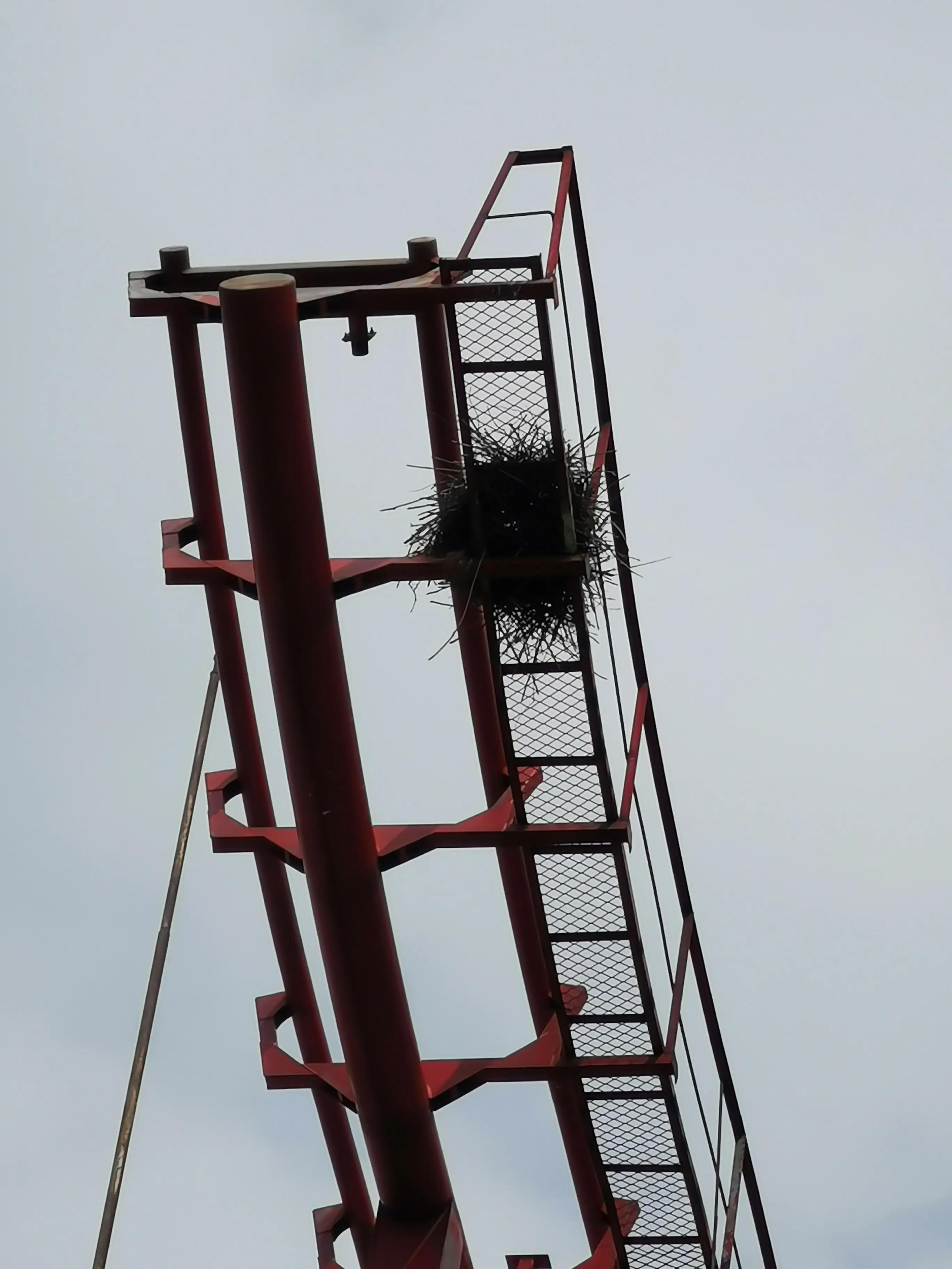 锦州世博园自驾游攻略路线,锦州世博园5个小时游玩攻略