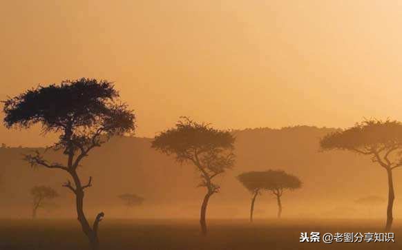 语文名著导读必考题七年级上册,名著导读考点精练七年级上册初中