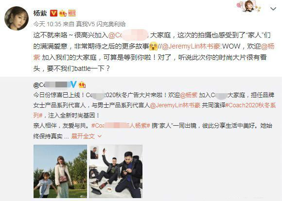 之前辱华的有哪些品牌,蔻驰辱华事件始末