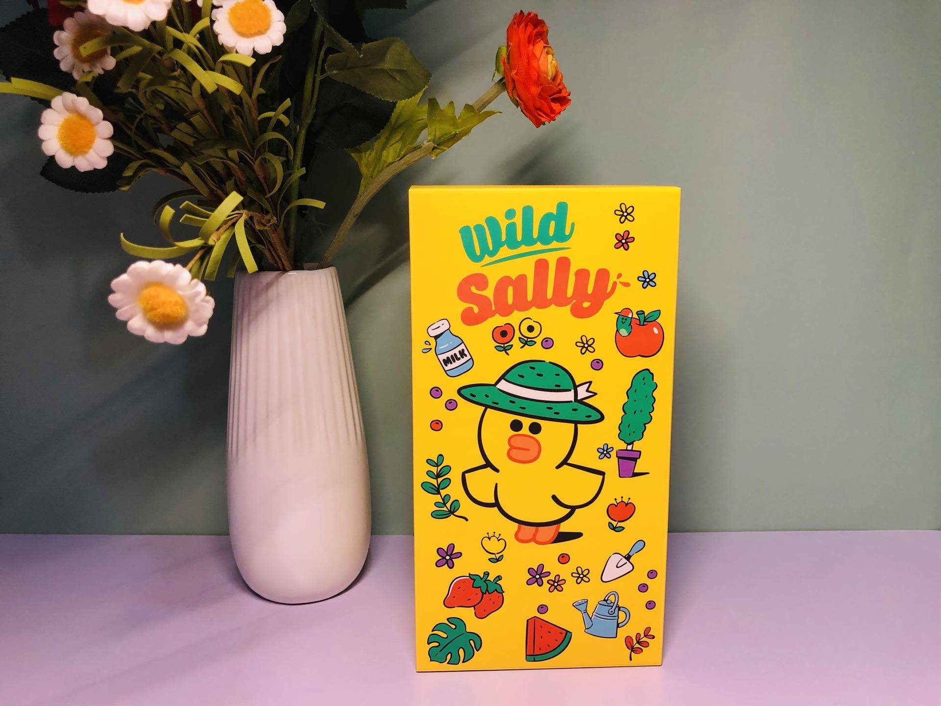 新款小巨蛋麦克风,比小巨蛋便宜好用的麦克风推荐