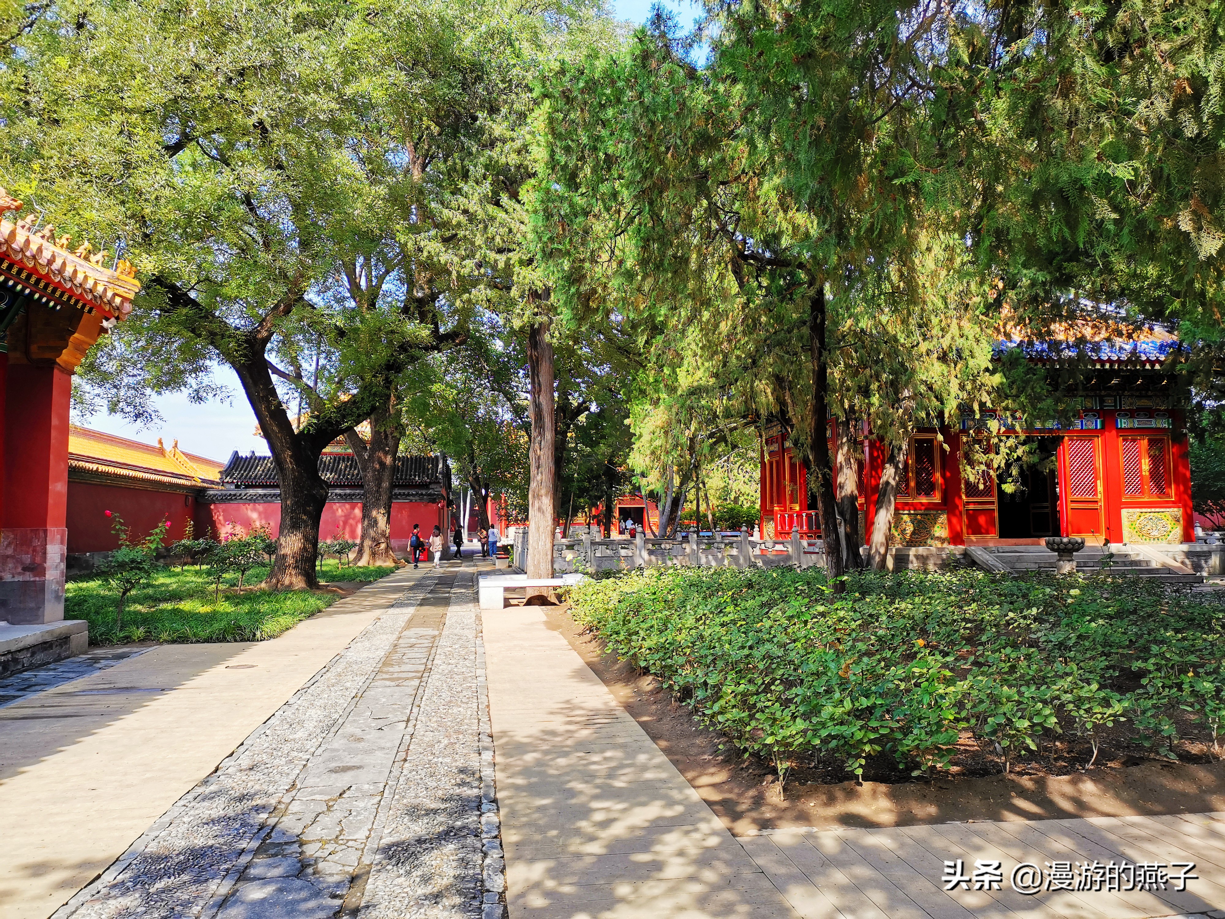 故宫神秘的宁寿宫花园,慈宁宫花园又称为什么花园