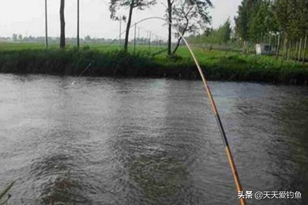 夜钓流水无漂钓法,夜钓鲫鱼滑漂钓法教学