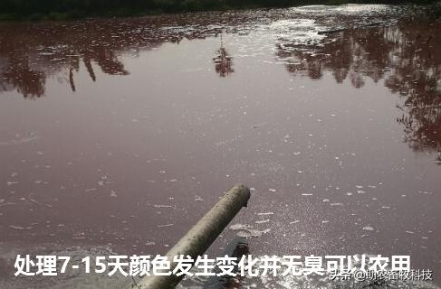 养殖场粪水应该如何处理,养殖场废水无害化处理方法