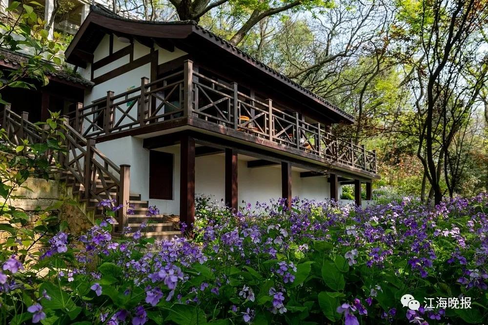 南通已经入春了吗,今年南通什么时候入春