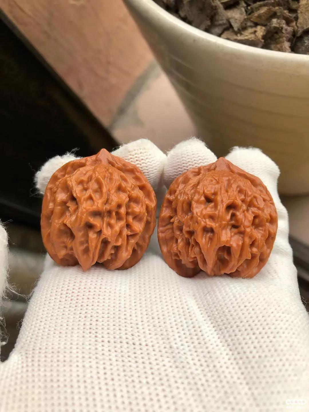 有毒！又一位宝藏小姐姐，玩核桃最爱“马虎”，朋友眼里是奇葩