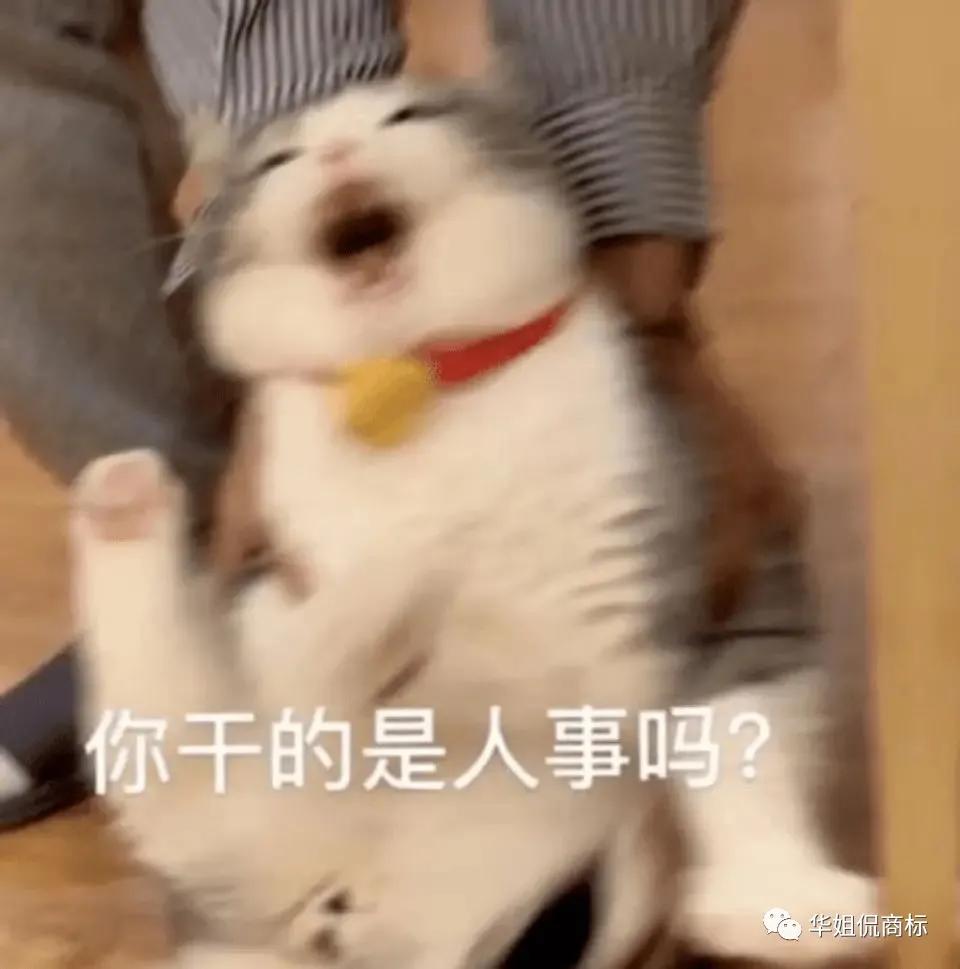 没有金刚钻别揽瓷器活事例,没有金刚钻别揽瓷器活是真理吗