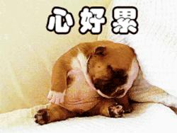 国家电网哪个局最难进,国家电网哪个省好考一些