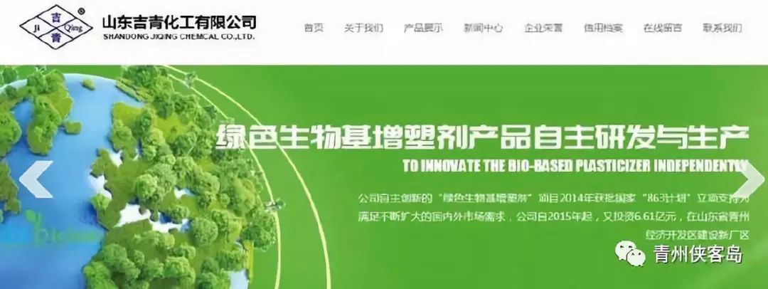 青州甄日菊简介,青州甄日菊