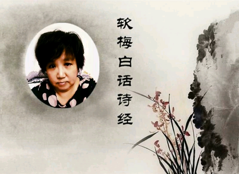 陈风东门之枌赏析,陈风东门之枌拼音版