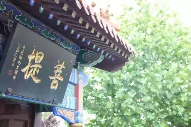 河北值得去的海岛旅游,周末驾到2013