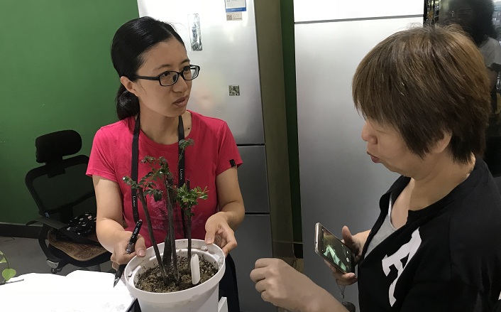 植物生病药怎么用,家里的植物病怎么治