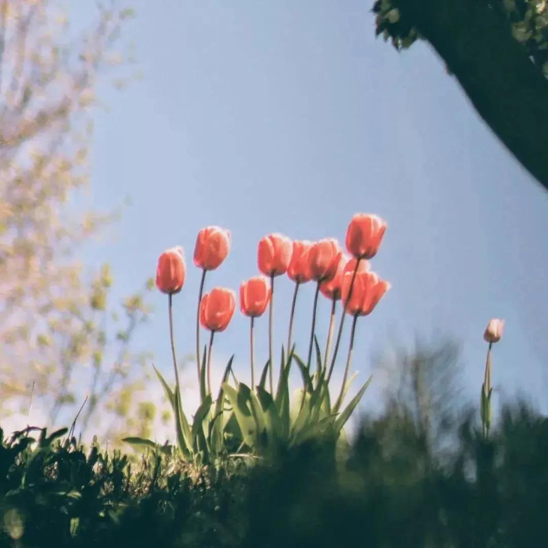 致朋友圈里的人:好久不见