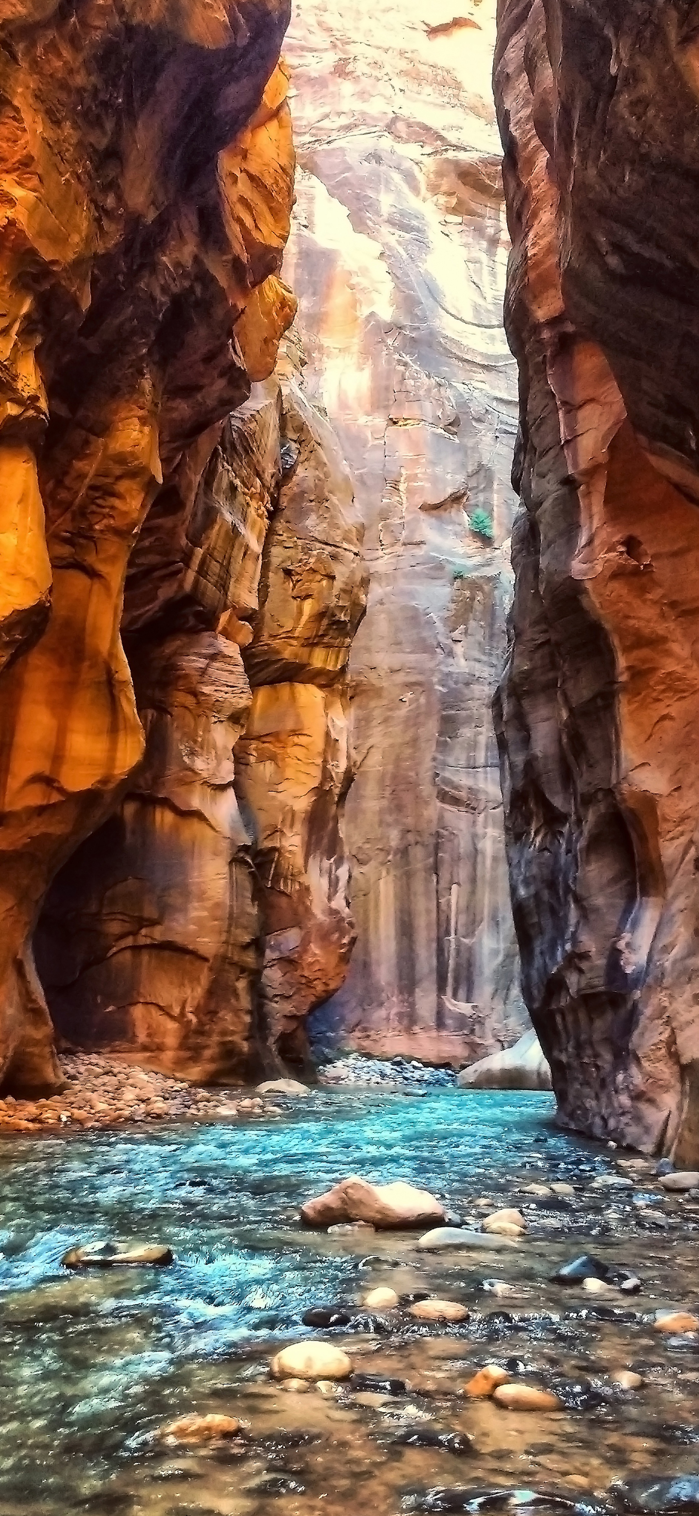 壁纸仙女绿色系护眼壁纸套图,各种高清护眼壁纸