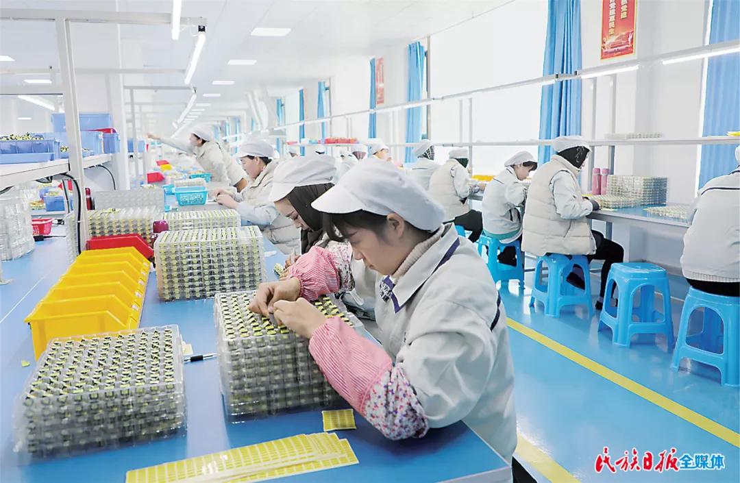 康乐县重点工作汇报,喜迎党代会经济社会发展综述