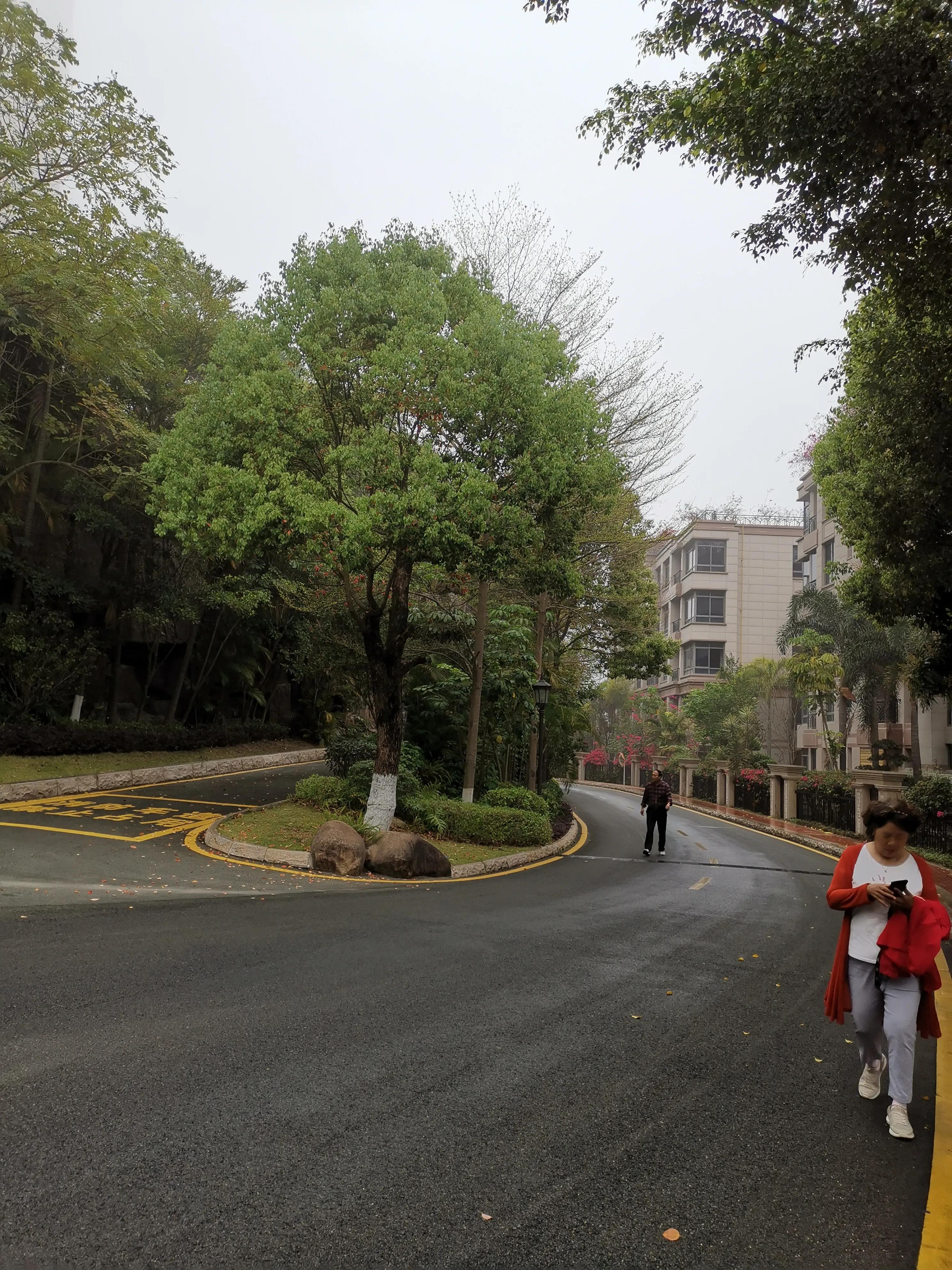 濮戝珎鏃呰璁板綍,濮戝珎鏃呰鏃ヨ