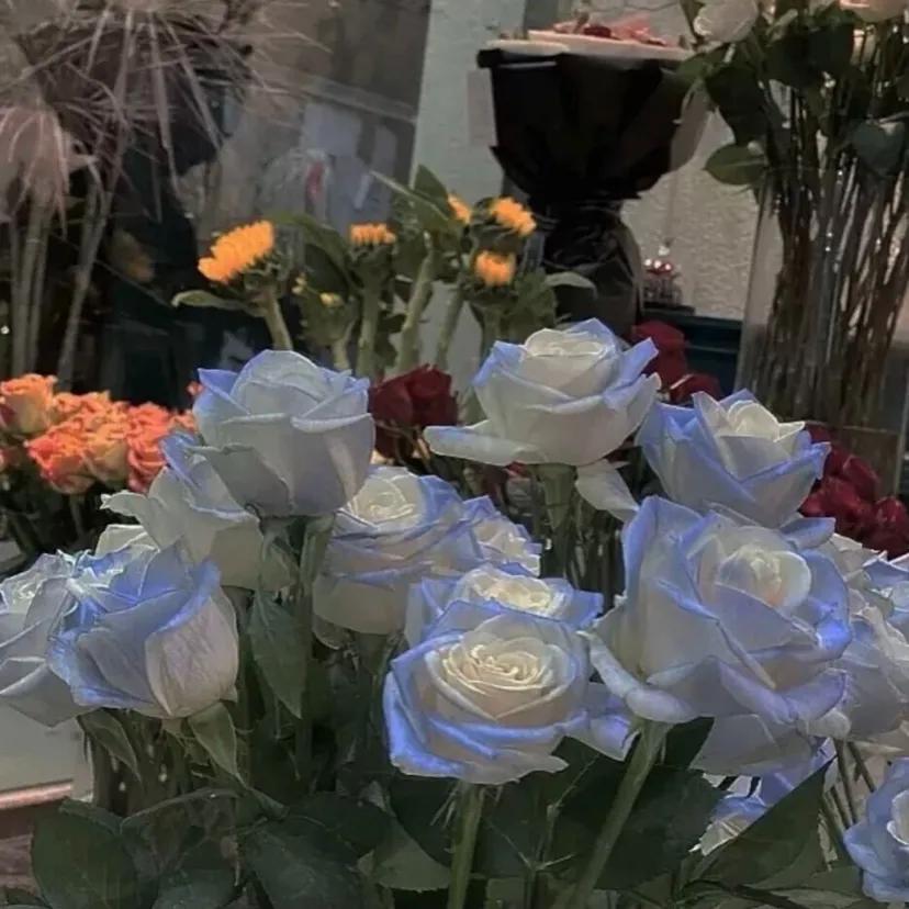 小众ins微信聊天背景图黑暗,小众聊天背景图全屏