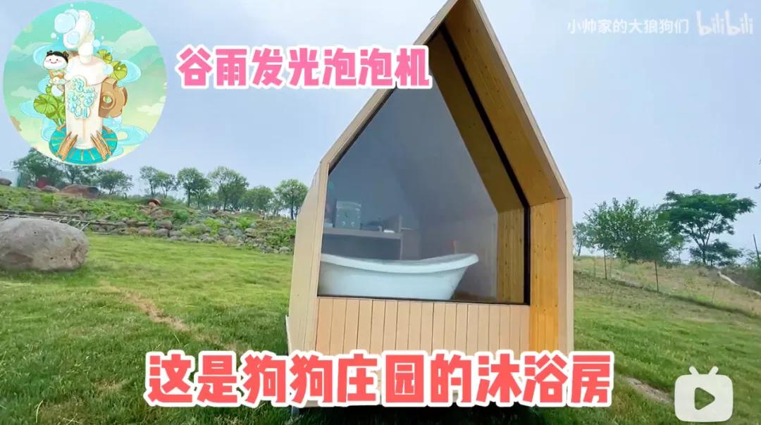 花三年建宠物乐园,花20万给狗打造乐园