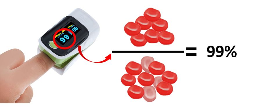 感染病毒,死于窒息:肺里究竟发生了什么?