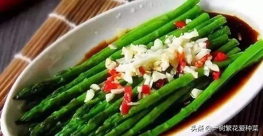 芦笋在北方冬天能过冬吗,适合北方大棚种植芦笋品种