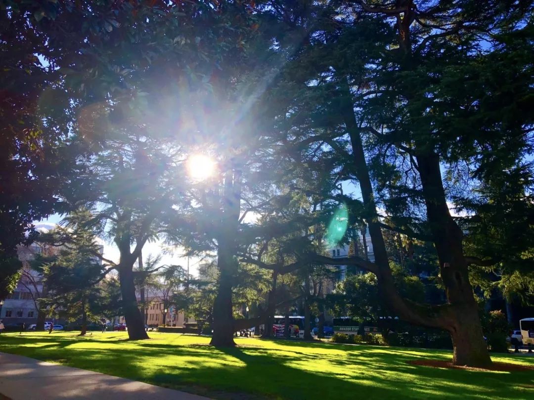 美国西海岸（碰撞）古巴哈瓦那