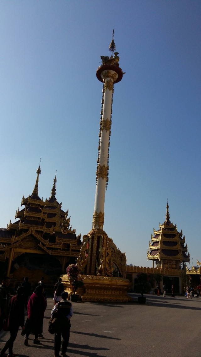 他发明了树木打点滴，到云南不要错过他的珍奇园