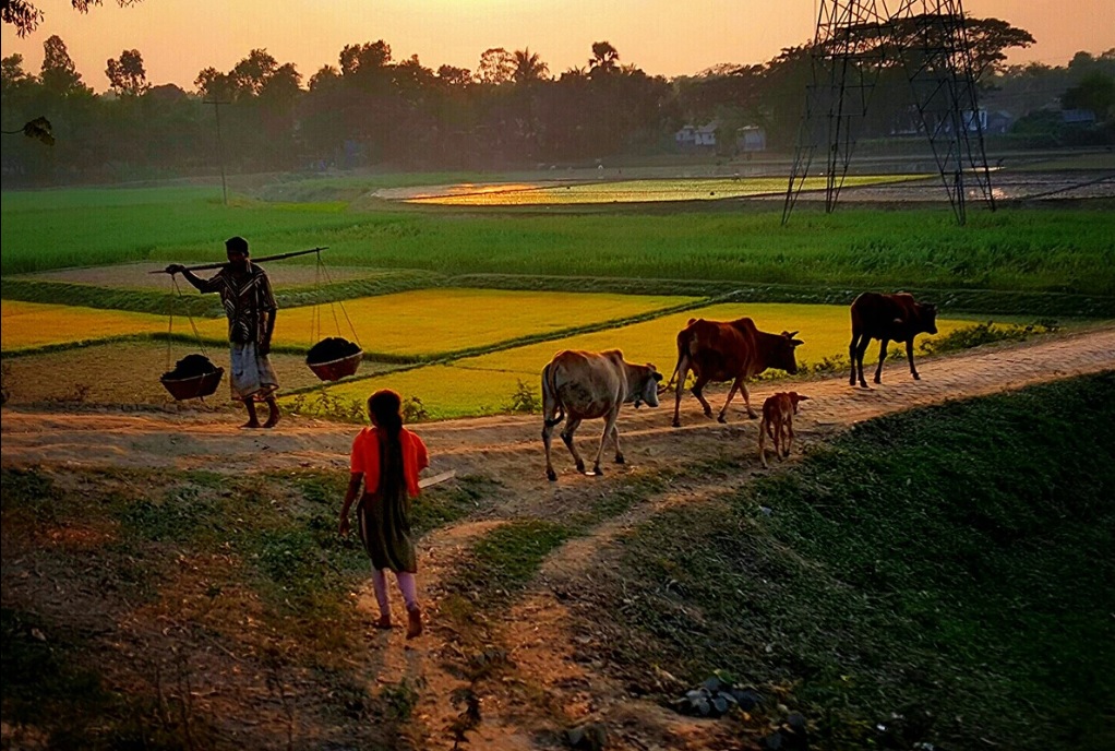 孟加拉国多发洪涝灾害的原因,孟加拉国多发洪涝灾害原因