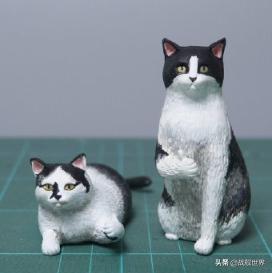 鸭类鸭类,鸭类品种大全