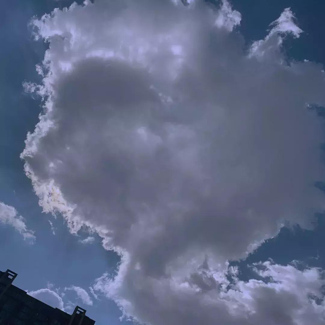 网红拍照滤镜怎么调的,拍出网红照滤镜