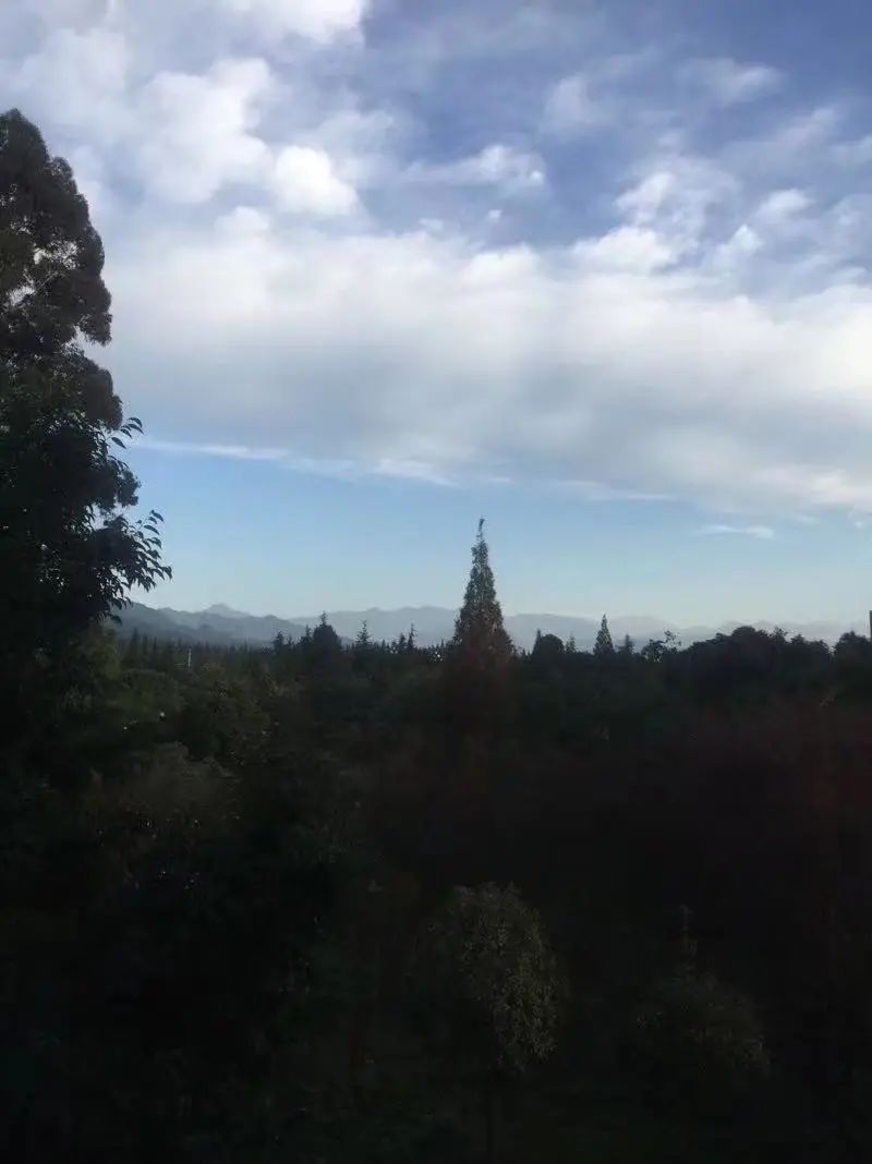 成都东软学院青城山下,东软青城山校区