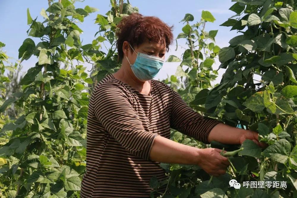 走向我们的小康生活了吗,走向我们的小康生活图片