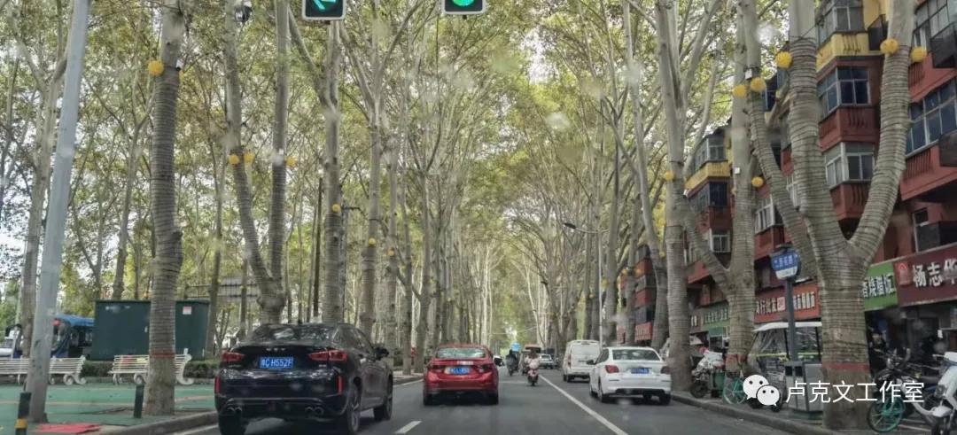 河南有多难卢克文工作室,河南到底有多难